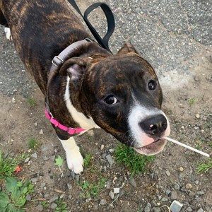 Meet your Posher, Rachelle